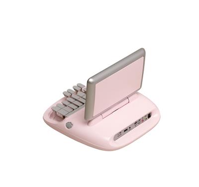 45170_Stenographer Machine Pink Gray BackRt.jpg