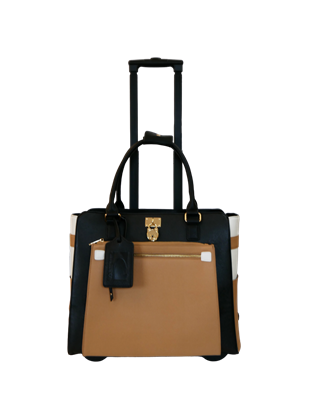 46658_46658 Taupe Black Rolling Case Front.png